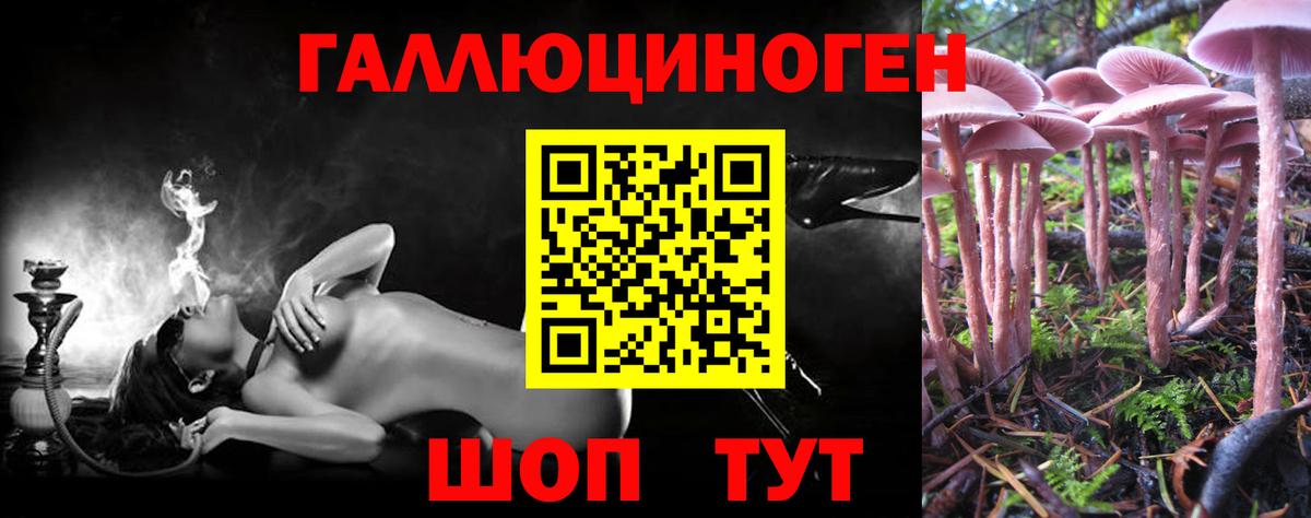 Псилоцибиновые грибы ЛСД  Вход с VPN  Анапа  цены наркотик  Галлюциногенные грибы ЛСД 